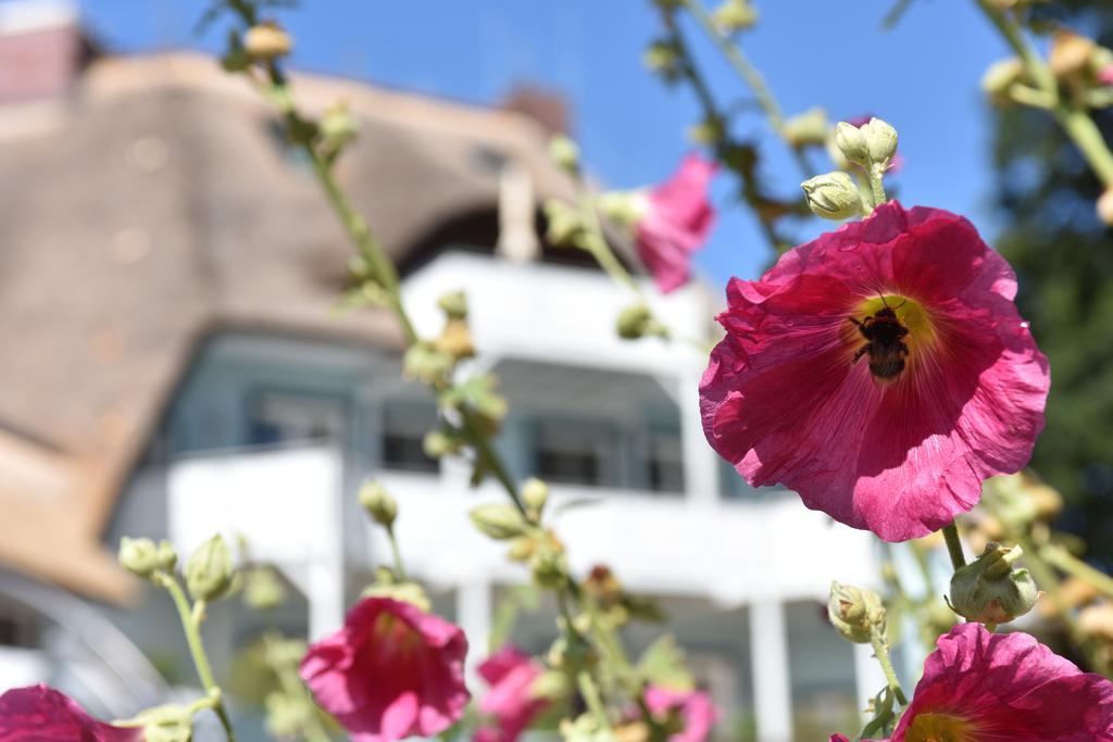 Romantik Hotel Fischerwiege 아렌스호프 외부 사진
